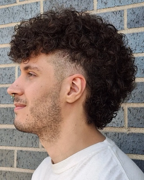 Burst Fade Mullet Curly Hair