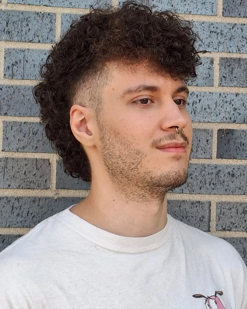 Burst Fade Mullet Curly Hair